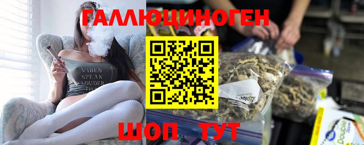Псилоцибиновые грибы ЛСД  Галлюциногенные грибы Psilocybe  Дедовск  Вход с VPN 