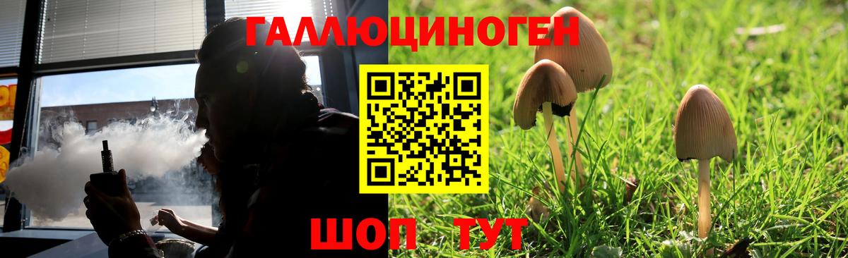 Псилоцибиновые грибы Cubensis Дедовск